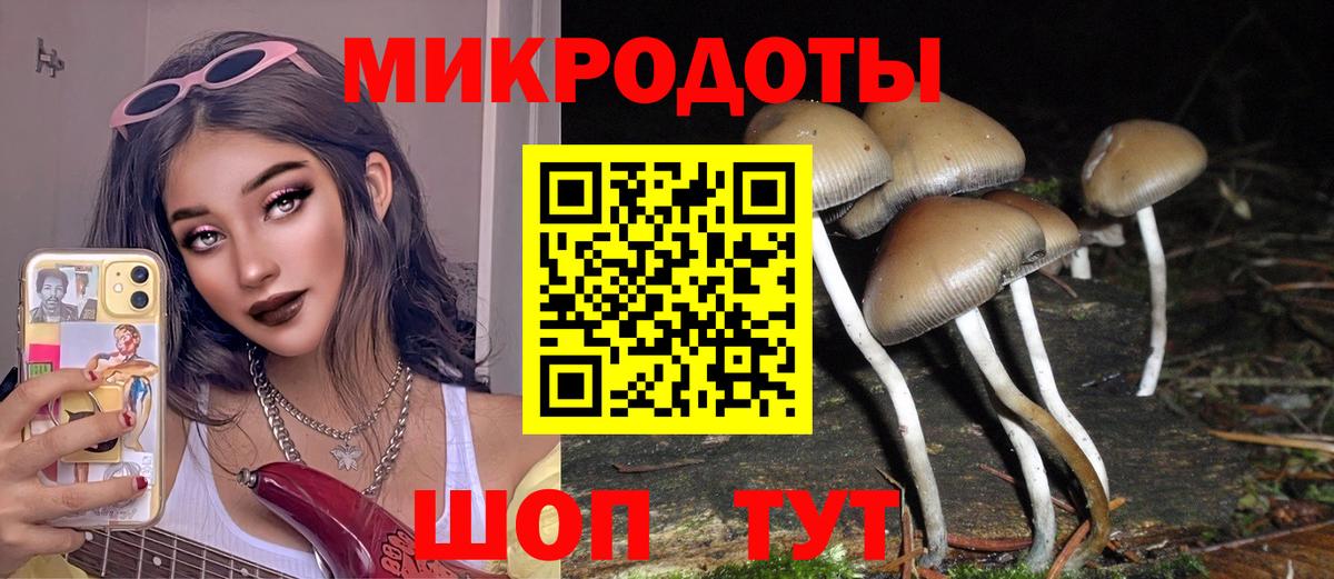 Сунжа  Галлюциногенные грибы GOLDEN TEACHER  Вход с VPN  Псилоцибиновые грибы ЛСД 