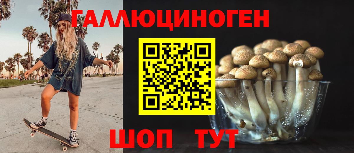 Псилоцибиновые грибы Cubensis Сунжа