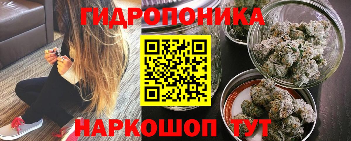 Канабис гибрид Сунжа